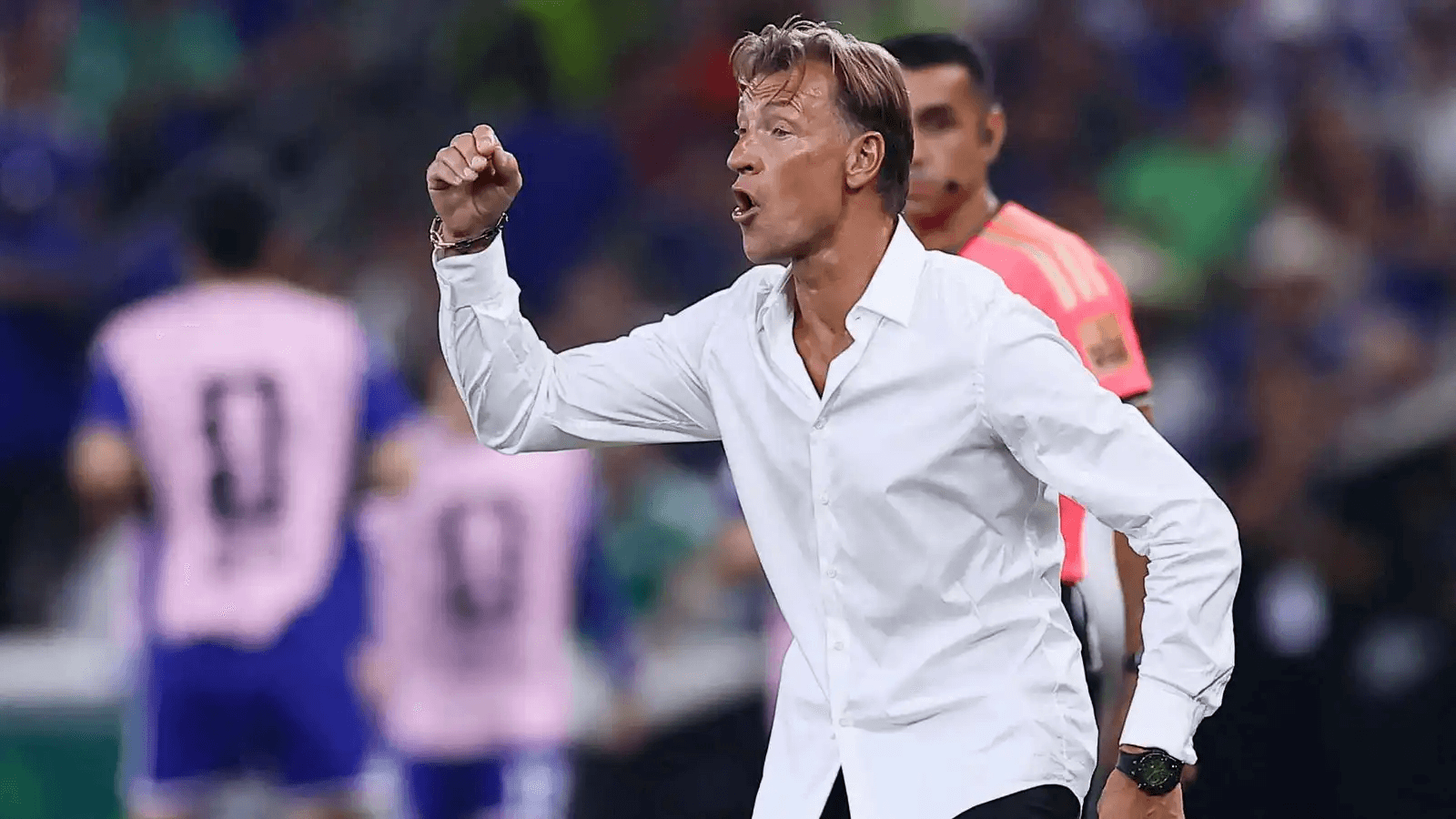 الدار -  اقترب الفرنسي هيرفي رينارد من تولي تدريب منتخب كوريا الجنوبية