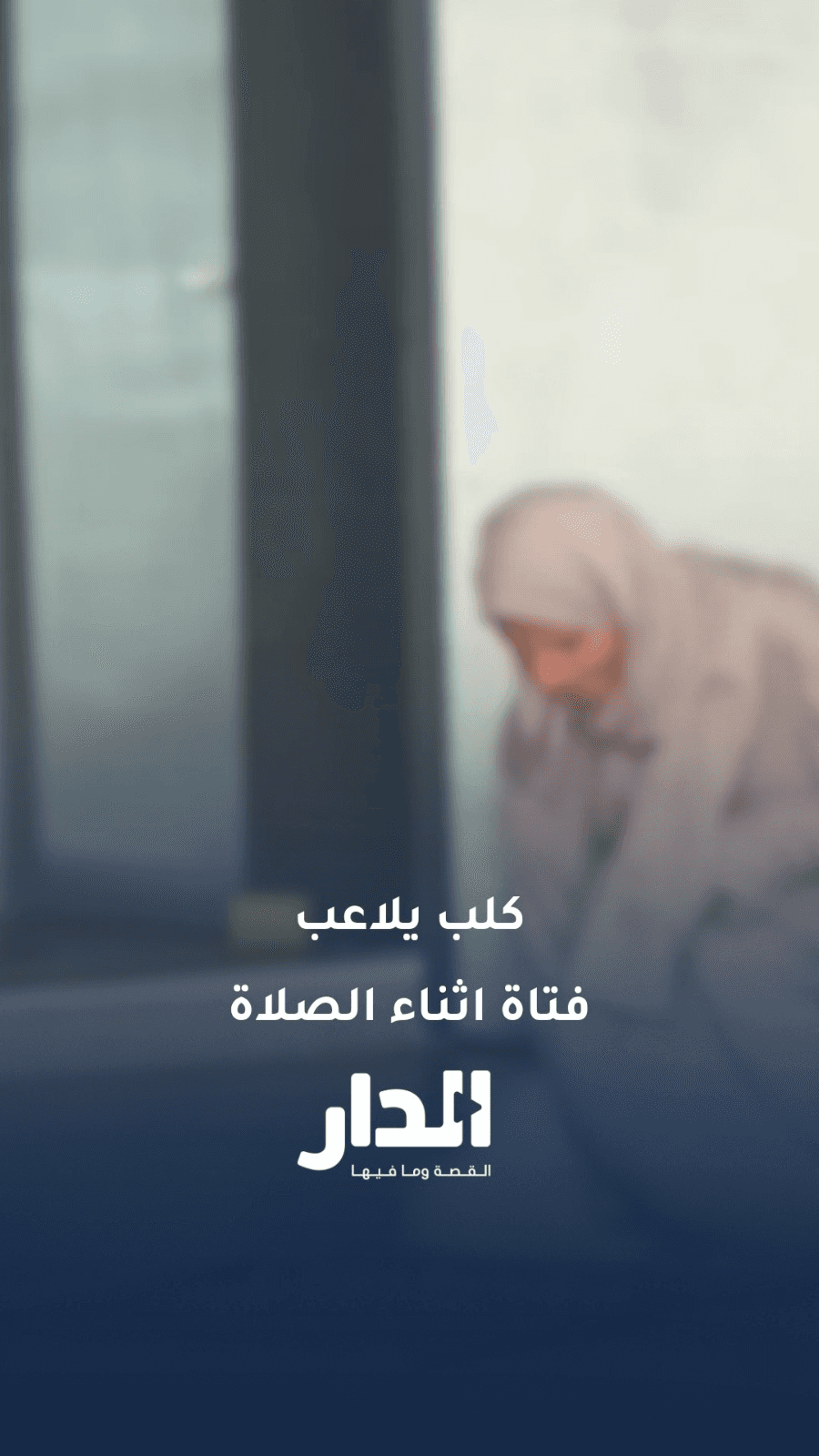 كلب صغير يلاعب فتاة أثناء الصلاة في مصر