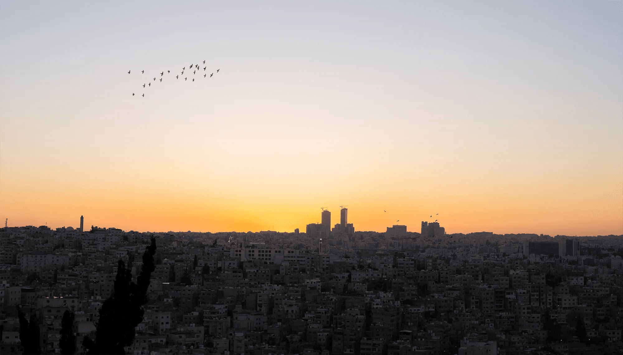 في عيد الاستقلال الثمانين.. كيف تحولت شبكة طرق الأردن إلى مركز لوجستي إقليمي؟