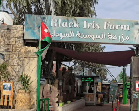 الدار - علي خلف - كشف المستثمر إياد الخرشة، في حديث لـ"الدار الإخباري
